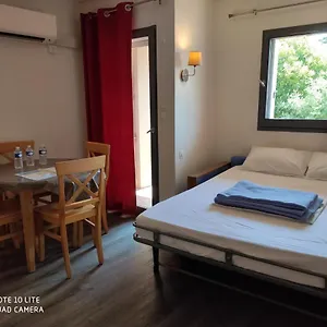 Les Palmiers Appartement Nice